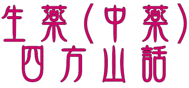 漢方・中医学用語説明（生薬）中薬一覧