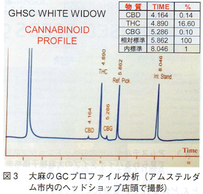 ガスクロマトグラフィー分析