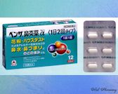 ベンザ鼻炎薬α〈1日2回タイプ〉の通信販売画面へ