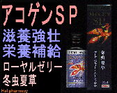 アコゲンＳＰの通信販売画面へ