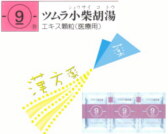 ツムラ 小柴胡湯 エキス顆粒（医療用）の通販画面へ