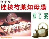 �E�`�_ �j�}䉖�m�ꓒ ������̒ʐM�̔���ʂ�