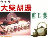 ウチダ 大柴胡湯 煎じ薬の通販画面へ