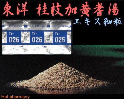 東洋 桂枝加黄耆湯 エキス細粒