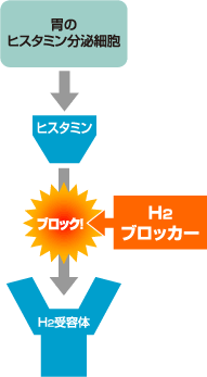 H2ブロッカーの働き図解