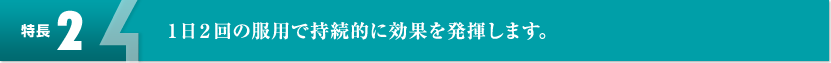 【特長2】1日2回の服用で持続的に効果を発揮します。