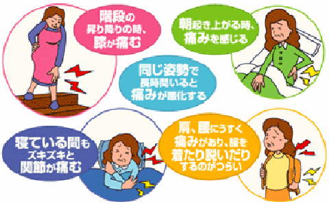 コンドロイチンZS錠の効能効果
