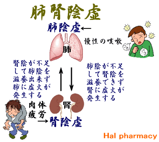 肺腎陰虚