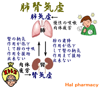 肺腎気虚（腎不納気）