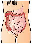 胃腸の働きをよくして、元気をつける