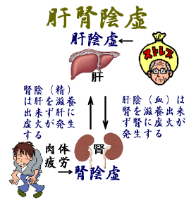 肝腎陰虚