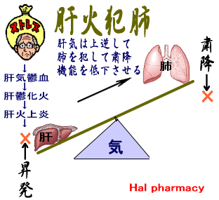 肝火犯肺