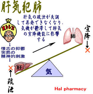 肝気犯肺