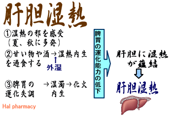 肝胆湿熱