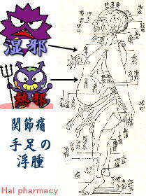 経絡に湿熱の邪が侵入した場合（湿熱入絡）