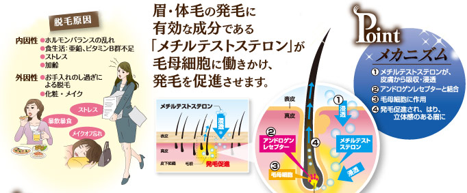 メカニズム