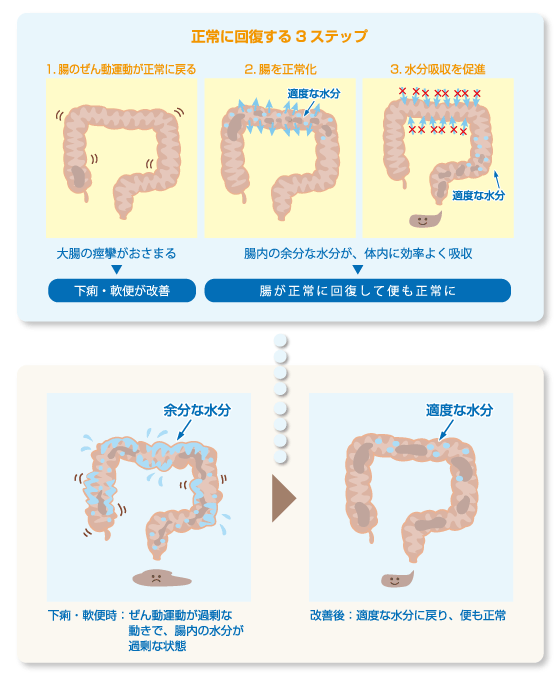 1日3回服用する理由は