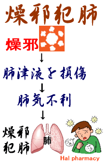 燥邪犯肺