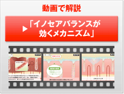 【動画で解説】イノセアバランスが効くメカニズム