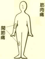 薏苡仁湯