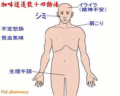 加味逍遙散＋四物湯