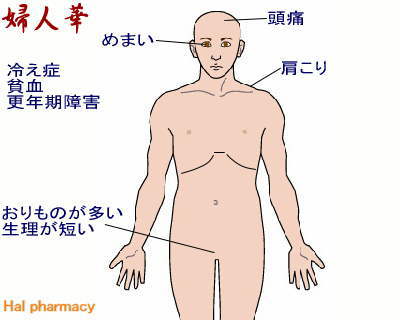 当帰芍薬散＋桂枝茯苓丸