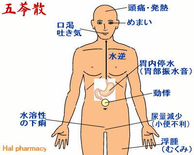 五苓散