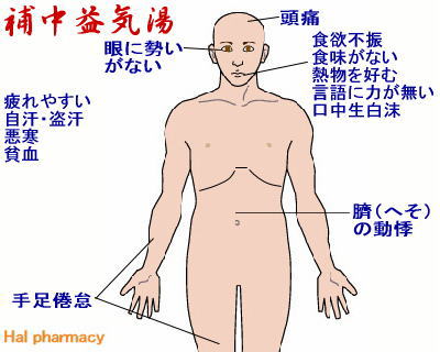 補 中 益 気 湯 市販