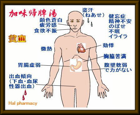 加味帰脾湯