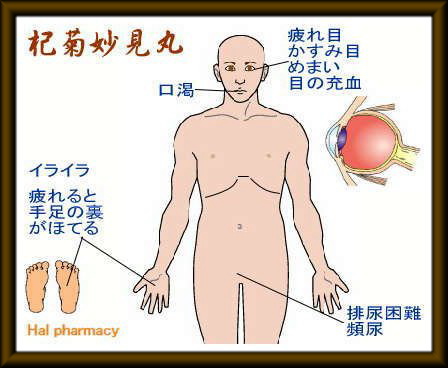 杞菊地黄丸