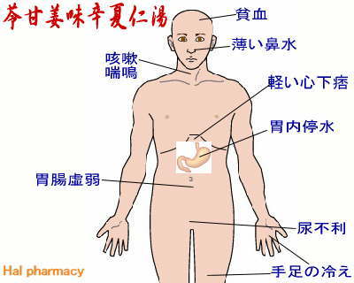 苓甘姜味辛夏仁湯