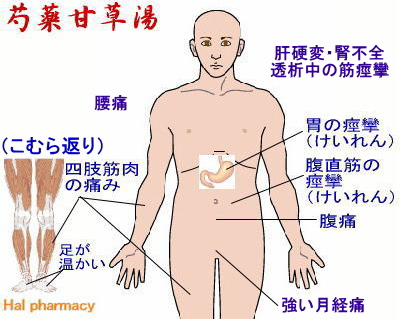 芍薬甘草湯