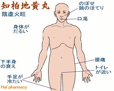 知柏地黄丸