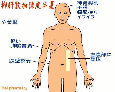 抑 肝 散 加 陳皮 半 夏 痩せる